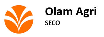 SECO OLAM